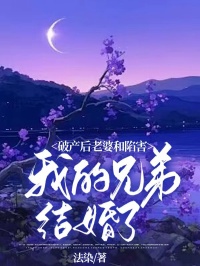 柳如烟何铮张华小说《破产后，老婆和陷害我的兄弟结婚了》已完结版全文章节阅读