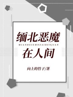 缅北恶魔在人间全文在线阅读|孟琳东哥全本无弹窗