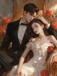 《终要归还于人海》小说章节列表精彩阅读|姜晚叶凡小说全文
