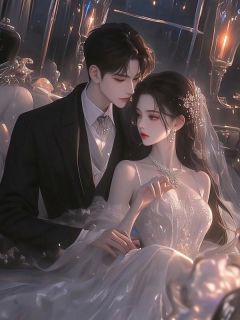 我成了断臂，妻子却送我定制戒指徐海洋苏小曼|我成了断臂，妻子却送我定制戒指全文阅读
