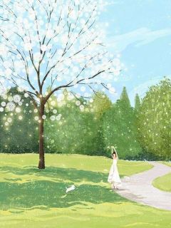 我退出婚礼策划团队后，老公被解雇了小说|江玲秦尘沈辞小说叫什么