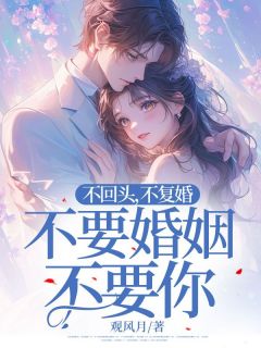 《不回头，不复婚，不要婚姻不要你》小说在线免费阅读章节|童远苏兮小说结局