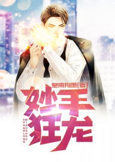 《妙手狂龙》完整版阅读|林坏叶倾城小说无删节