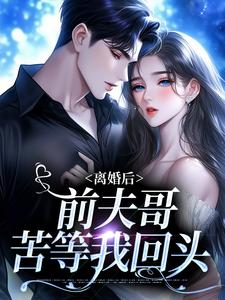 《离婚后，前夫哥苦等我回头》无弹窗阅读|景钰贺城轩小说免费试读