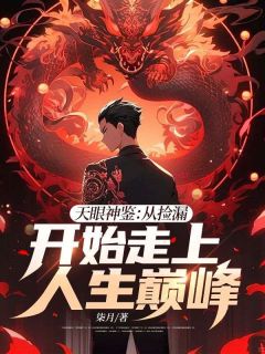 天眼神鉴：从捡漏开始走上人生巅峰|宁江林婉婉小说全文章节免费试读