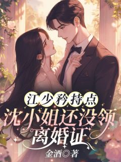《江少矜持点！沈小姐还没领离婚证》全集阅读|沈清宁江云宴小说免费试读