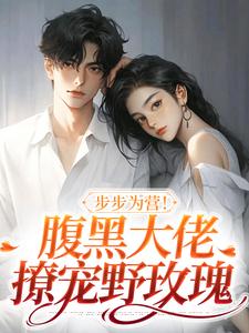 方雒仪周继燊小说已完结|《步步为营！腹黑大佬撩宠野玫瑰》精彩阅读