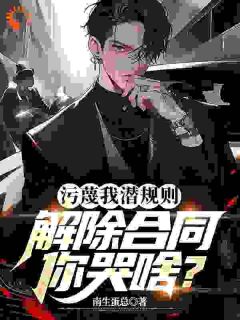 《污蔑我***，解除合同你哭啥？》小说章节免费试读|萧辰王琳小说阅读