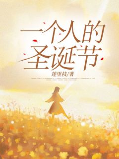 一个人的圣诞节全章节免费在线阅读|李孝愉傅钧小说完结版