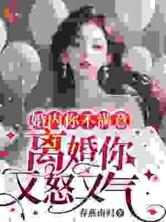 精品《婚内你不满意，离婚你又怒又气》小说免费试读|林晚裴南衍小说全集无删减全文