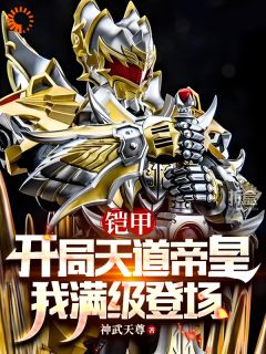 《铠甲：开局天道帝皇，我满级登场》神无道马灵灵小说精彩内容免费试读