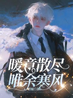 《暖意散尽，唯余寒风》小说精彩阅读|沈煜城宋暖韵完结版