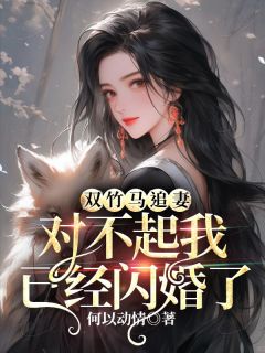 《双竹马追妻，对不起我已经闪婚了》燕韵贺临章节列表精彩试读