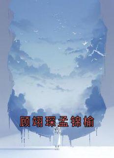 顾翊琛孟锦榆为主角的小说|顾翊琛孟锦榆是哪本小说的主角
