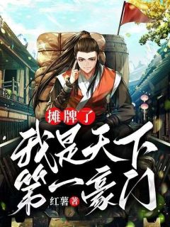 摊牌了，我是天下第一豪门小说|王林织兰无弹窗阅读