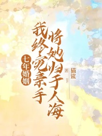 七年婚姻，我终究亲手将她归于人海小说全文免费阅读|陆沉柏雪章节目录完整版