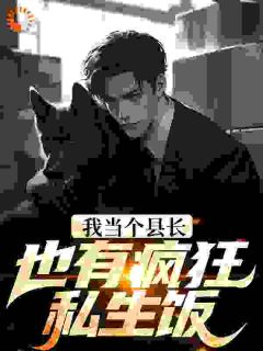 秦牧方爱兰|我当个县长也有疯狂私生饭？小说全章节阅读