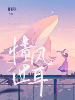 好书推荐《情风过耳》阮雾顾如珩全文在线阅读