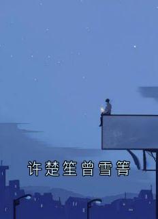许楚笙曾雪箐小说无广告|《许楚笙曾雪箐》小说在线免费阅读章节