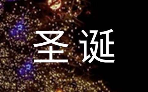 在圣诞的节日里的诗歌