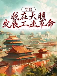 《穿越：我在大明发展工业***》小说目录在线阅读|陈林陈双儿小说全文