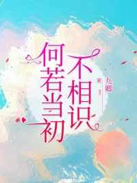 何若当初不相识江屿许夕颜目录_何若当初不相识阅读