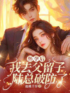 徐嘉柔陆怀征完结版|《***后我去父留子，陆总破防了》小说目录在线阅读