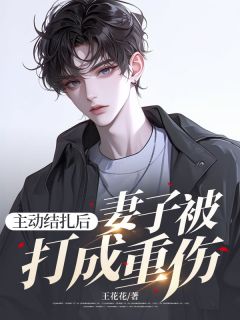 临川婉彤小说全文|《主动结扎后，妻子被打成重伤》小说目录在线阅读
