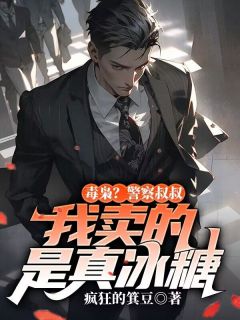 毒枭？警察叔叔，我卖的是真***全文免费试读|陈启李昊小说全本无弹窗