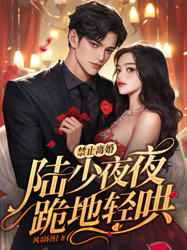 禁止离婚！陆少夜夜跪地轻哄乔熏陆泽在线全文免费阅读